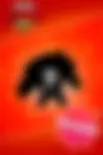 Новый герой Нори Улучшенный набор